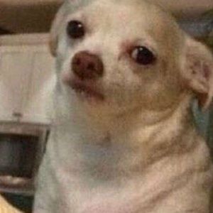 Meet your Posher, Carla